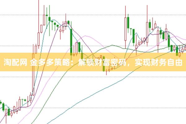 淘配网 金多多策略：解锁财富密码，实现财务自由