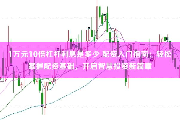 1万元10倍杠杆利息是多少 配资入门指南：轻松掌握配资基础，开启智慧投资新篇章