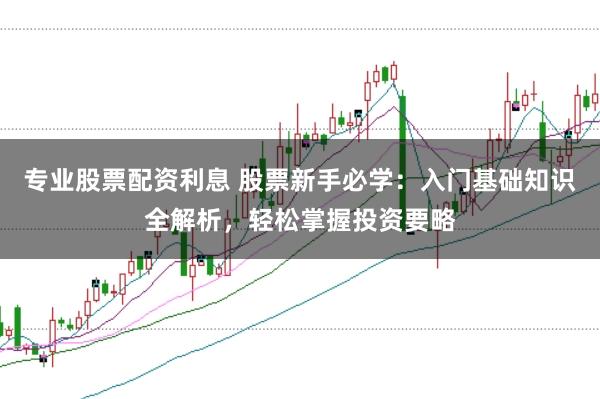 专业股票配资利息 股票新手必学：入门基础知识全解析，轻松掌握投资要略