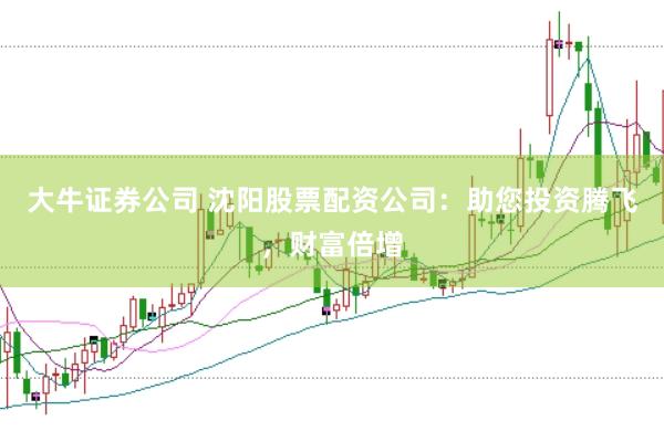 大牛证券公司 沈阳股票配资公司:助您投资腾飞,财富倍增