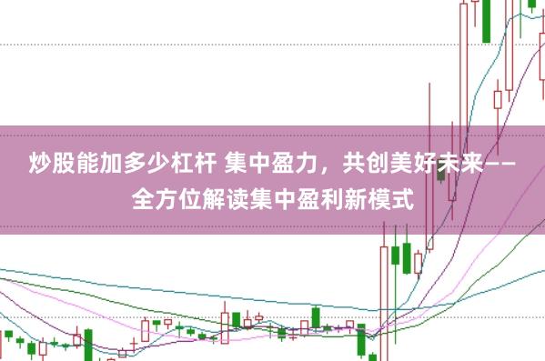 炒股能加多少杠杆 集中盈力，共创美好未来——全方位解读集中盈利新模式